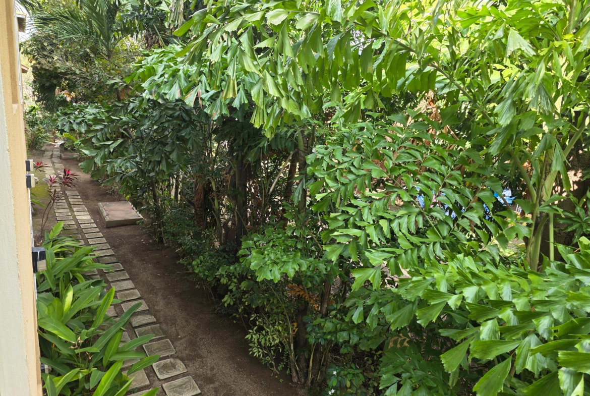 Thirtieth image of 18-20 Wellington Drive, Kingsto in Kingston 6, St. Andrew, Jamaica - property is For Sale