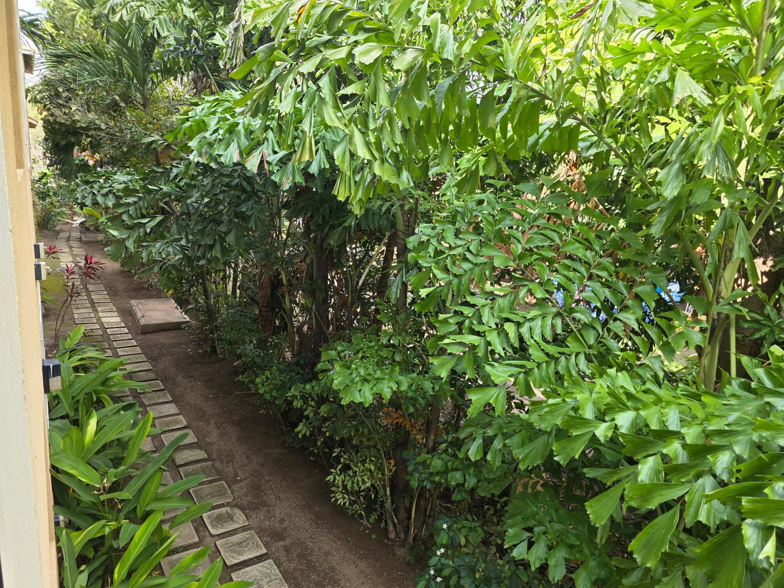 Thirtieth image of 18-20 Wellington Drive, Kingsto in Kingston 6, St. Andrew, Jamaica - property is For Sale