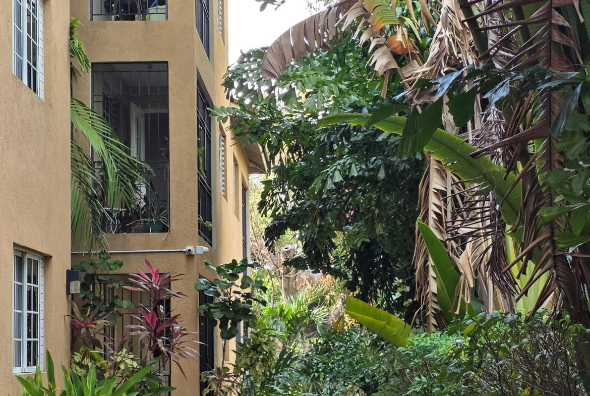 Sixth image of 18-20 Wellington Drive, Kingsto in Kingston 6, St. Andrew, Jamaica - property is For Sale