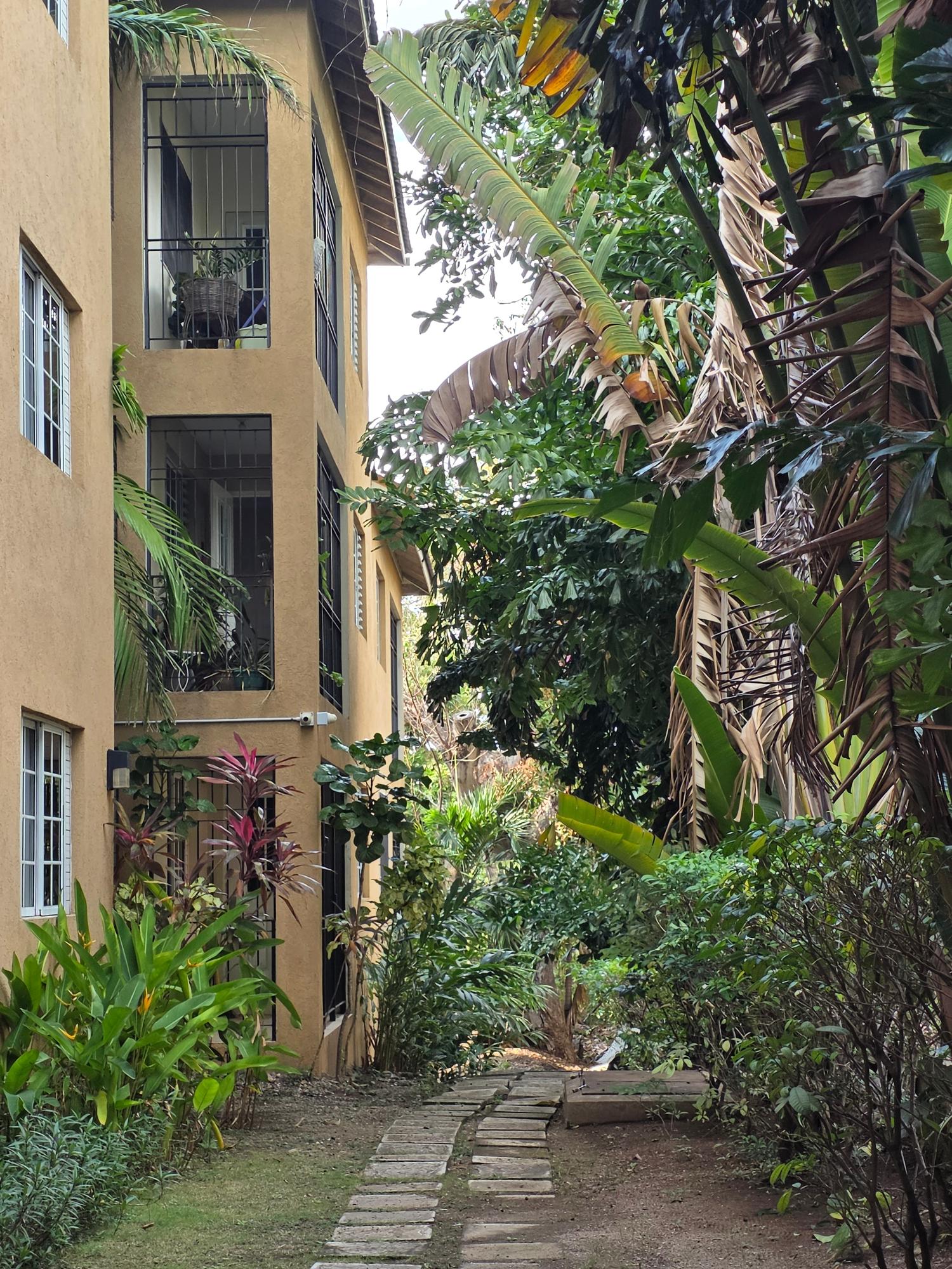 Sixth image of 18-20 Wellington Drive, Kingsto in Kingston 6, St. Andrew, Jamaica - property is For Sale