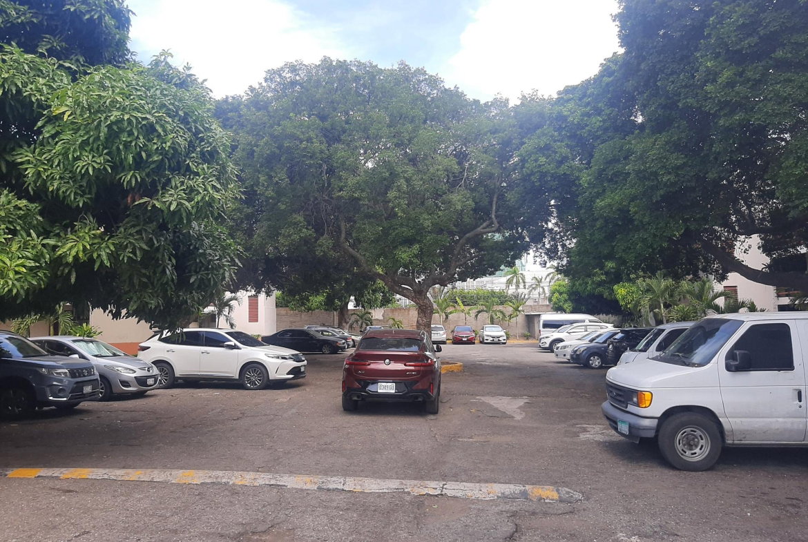 Fifth image of 45n-16 Oxford Road Kgn 5 in Kingston 5, St. Andrew, Jamaica - property is For Sale