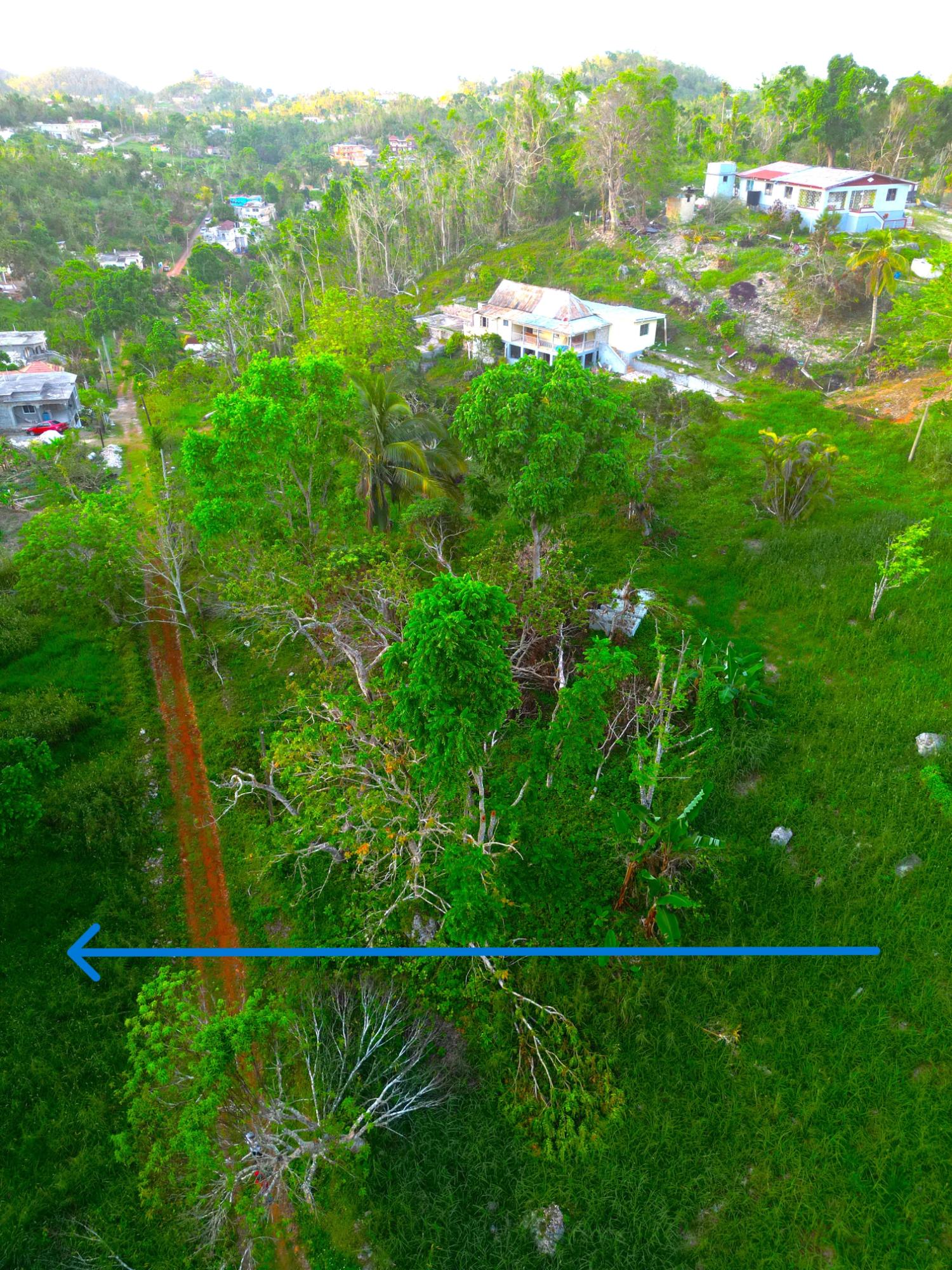 1.22-Acre-Residential-Lot-for-Sale-in-Wilberforce-St.-Ann-–-Close-to-Browns-Town-York-Castle-High Second image of Wilberforce in Browns Town, St. Ann, Jamaica - property is For Sale