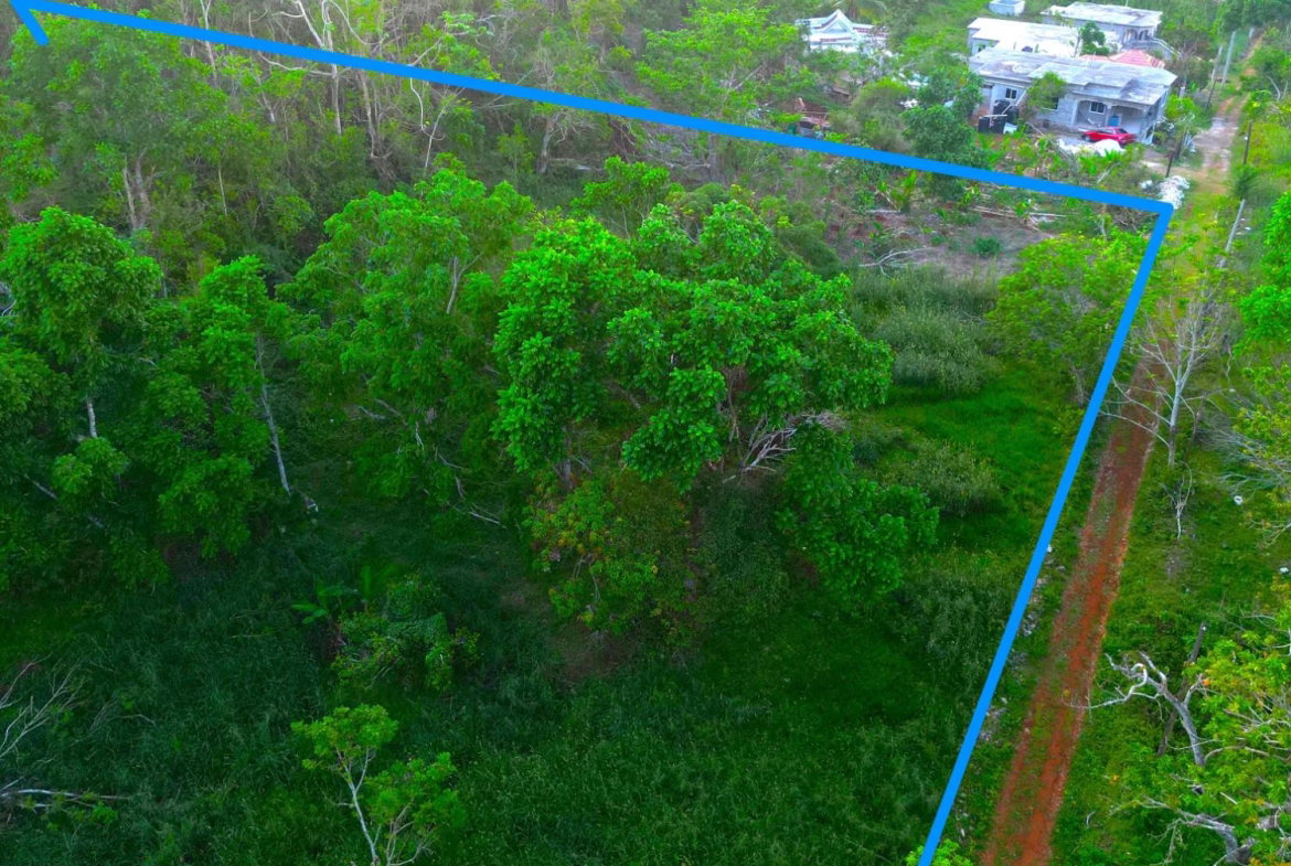 First image of Wilberforce in Browns Town, St. Ann, Jamaica - property is For Sale