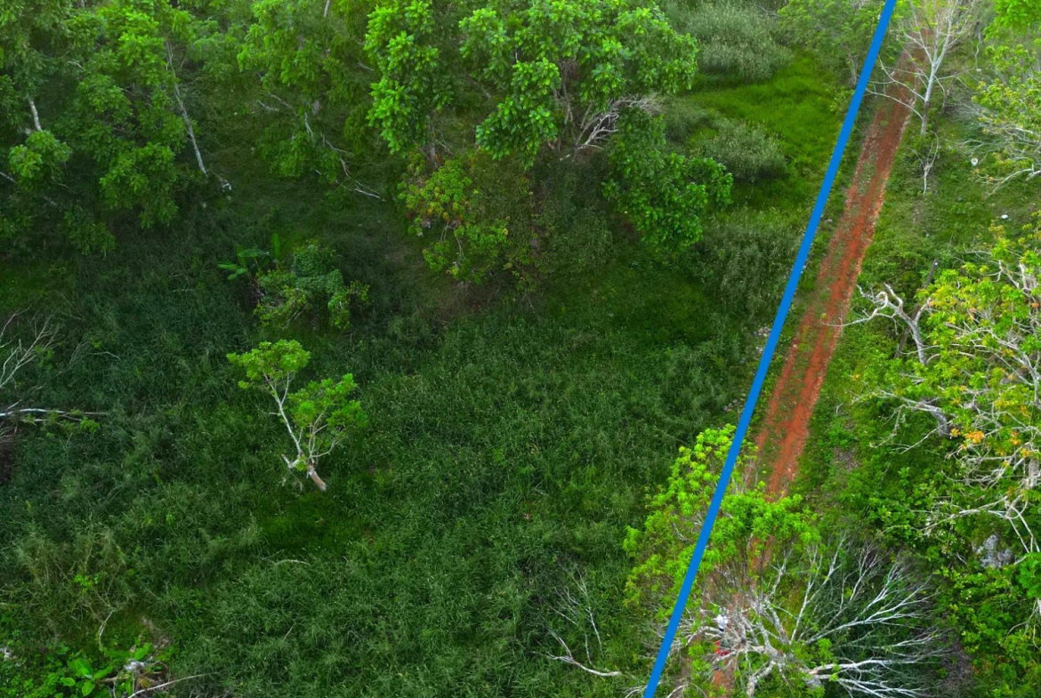 Fourth image of Wilberforce in Browns Town, St. Ann, Jamaica - property is For Sale