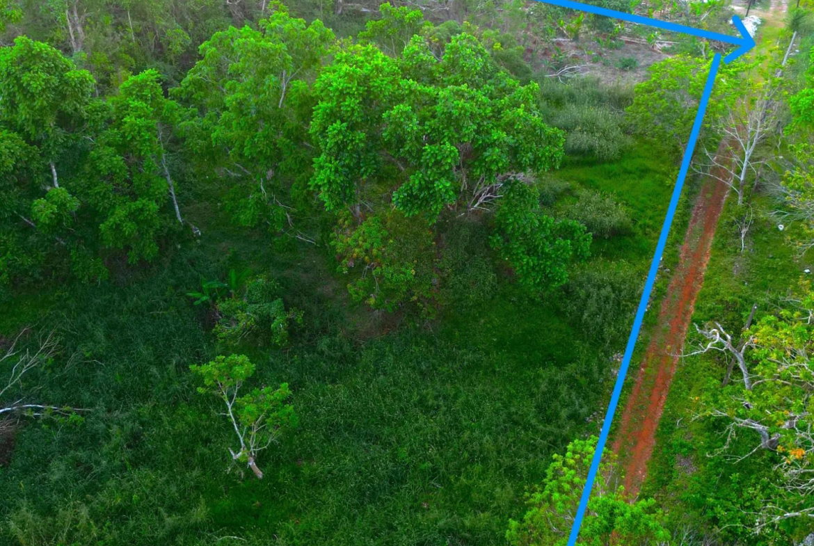 Fifth image of Wilberforce in Browns Town, St. Ann, Jamaica - property is For Sale