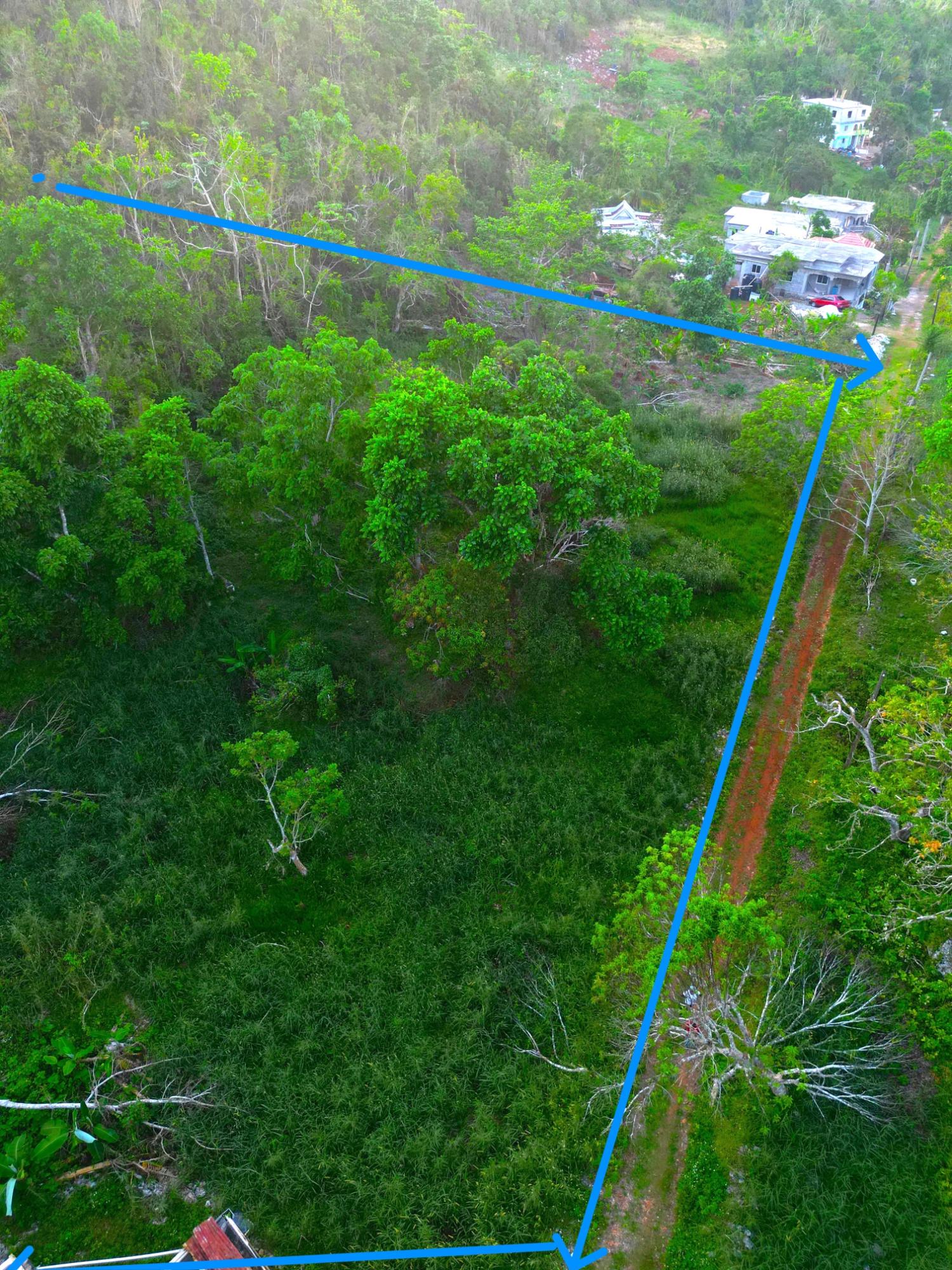 1.22-Acre-Residential-Lot-for-Sale-in-Wilberforce-St.-Ann-–-Close-to-Browns-Town-York-Castle-High Fifth image of Wilberforce in Browns Town, St. Ann, Jamaica - property is For Sale