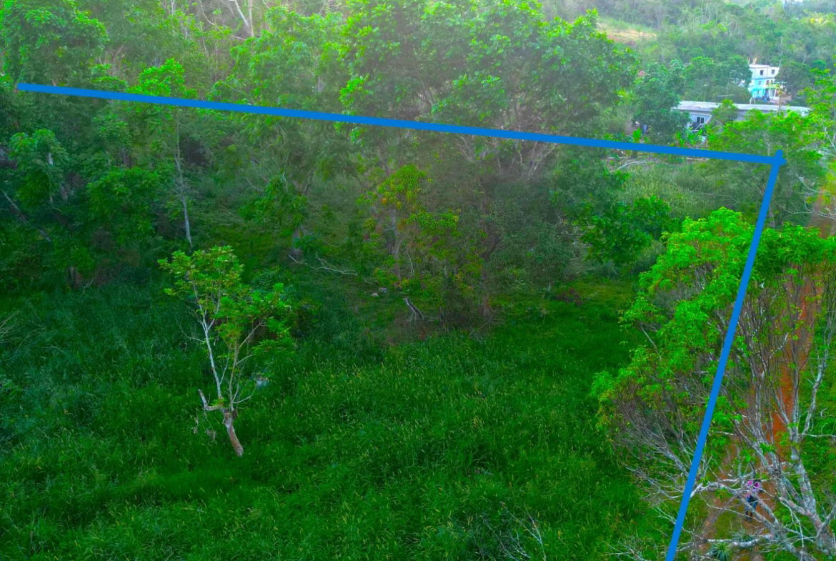 Sixth image of Wilberforce in Browns Town, St. Ann, Jamaica - property is For Sale