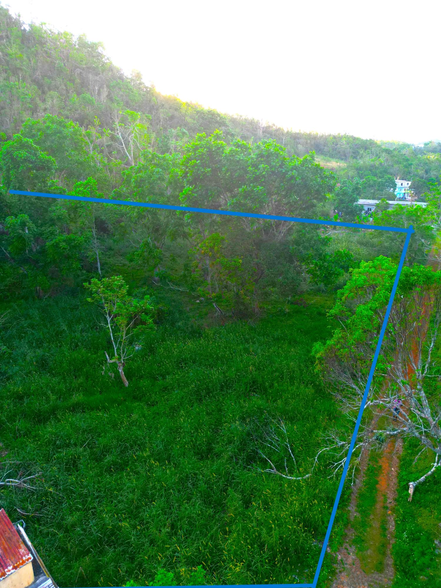 1.22-Acre-Residential-Lot-for-Sale-in-Wilberforce-St.-Ann-–-Close-to-Browns-Town-York-Castle-High Sixth image of Wilberforce in Browns Town, St. Ann, Jamaica - property is For Sale