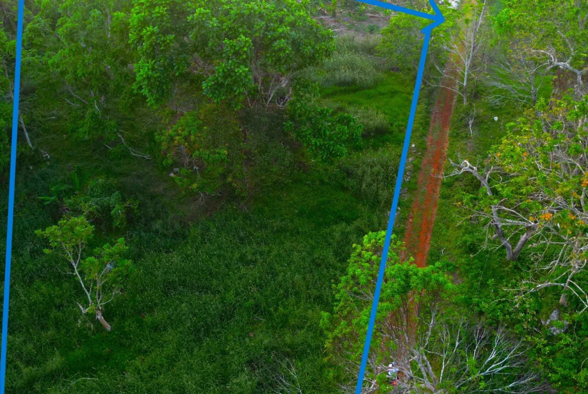 Seventh image of Wilberforce in Browns Town, St. Ann, Jamaica - property is For Sale