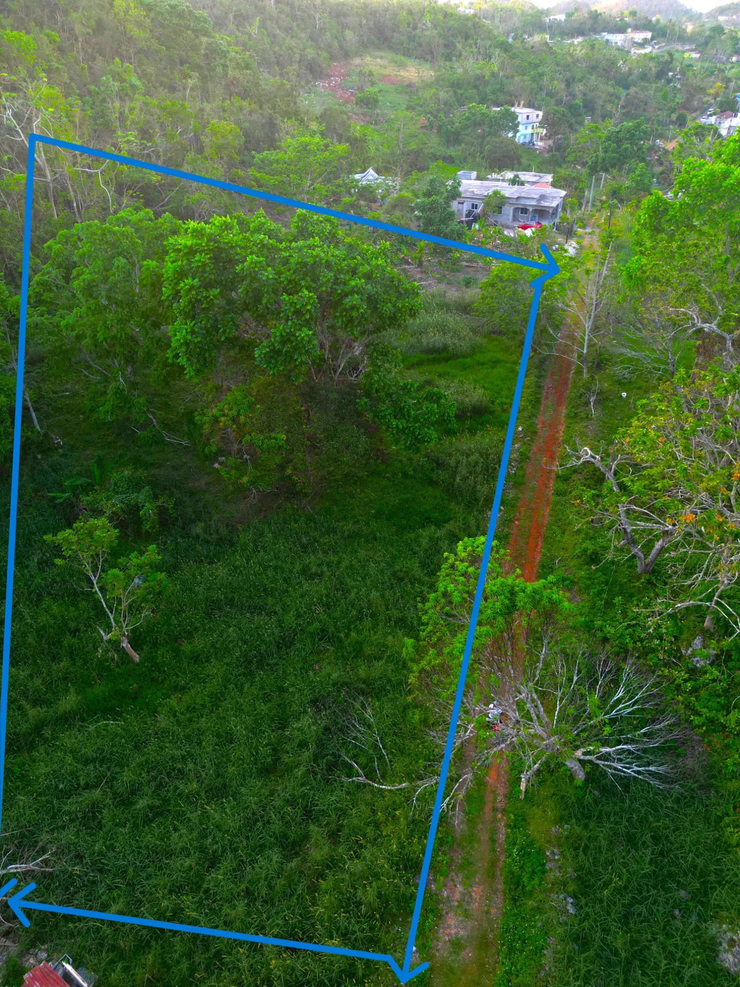 1.22-Acre-Residential-Lot-for-Sale-in-Wilberforce-St.-Ann-–-Close-to-Browns-Town-York-Castle-High Seventh image of Wilberforce in Browns Town, St. Ann, Jamaica - property is For Sale