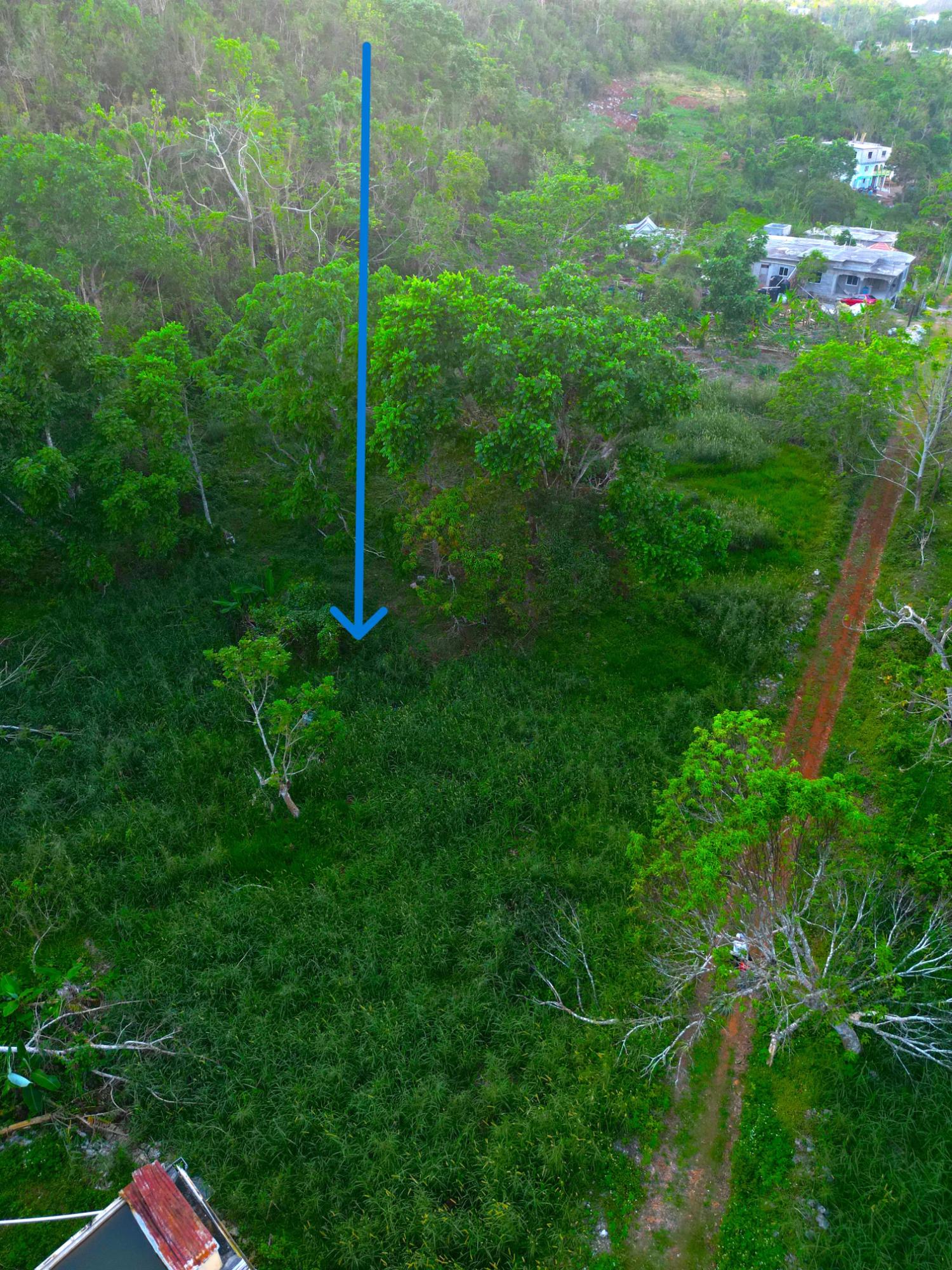 1.22-Acre-Residential-Lot-for-Sale-in-Wilberforce-St.-Ann-–-Close-to-Browns-Town-York-Castle-High Eighth image of Wilberforce in Browns Town, St. Ann, Jamaica - property is For Sale