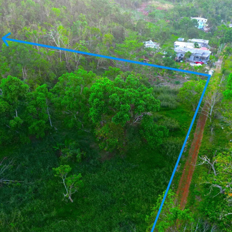 First image of Wilberforce in Browns Town, St. Ann, Jamaica - property is For Sale