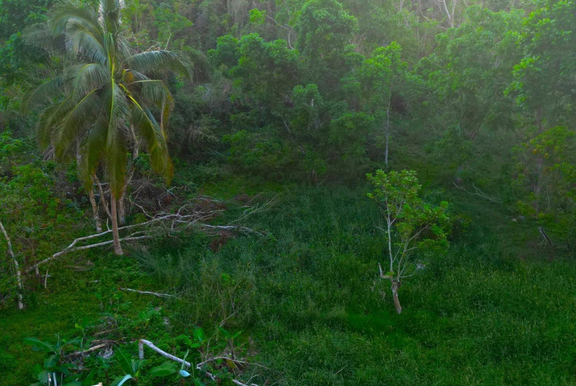 Ninth image of Wilberforce in Browns Town, St. Ann, Jamaica - property is For Sale