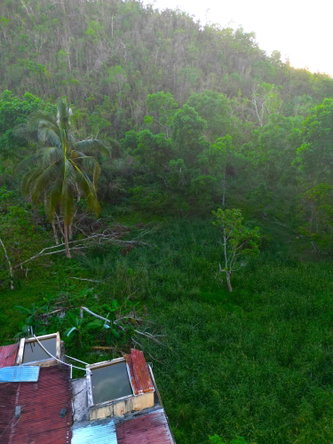 Ninth image of Wilberforce in Browns Town, St. Ann, Jamaica - property is For Sale