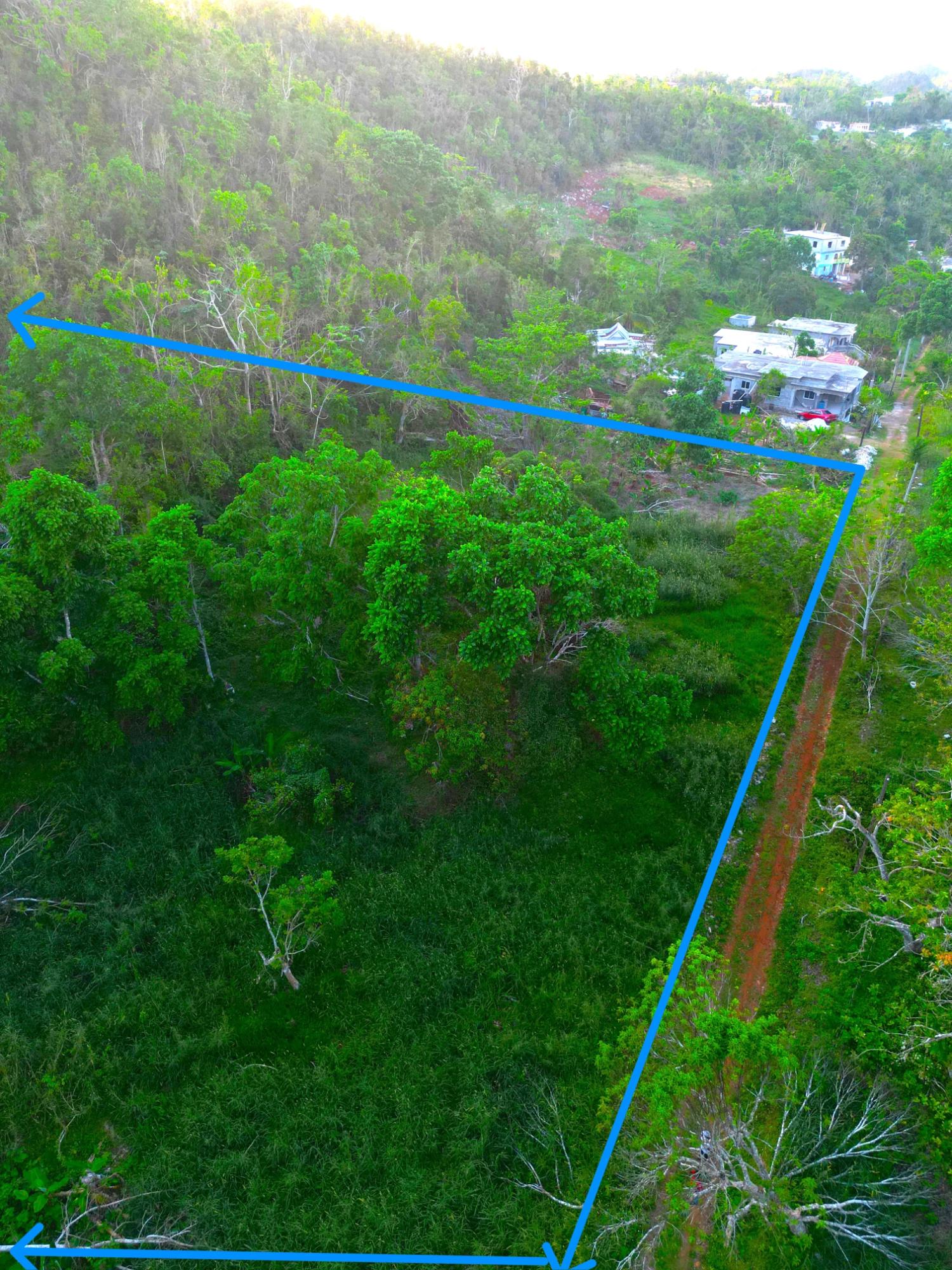 1.22-Acre-Residential-Lot-for-Sale-in-Wilberforce-St.-Ann-–-Close-to-Browns-Town-York-Castle-High First image of Wilberforce in Browns Town, St. Ann, Jamaica - property is For Sale