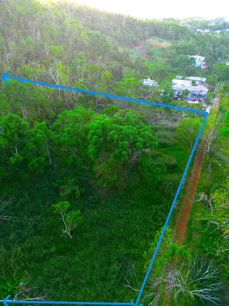 First image of Wilberforce in Browns Town, St. Ann, Jamaica - property is For Sale