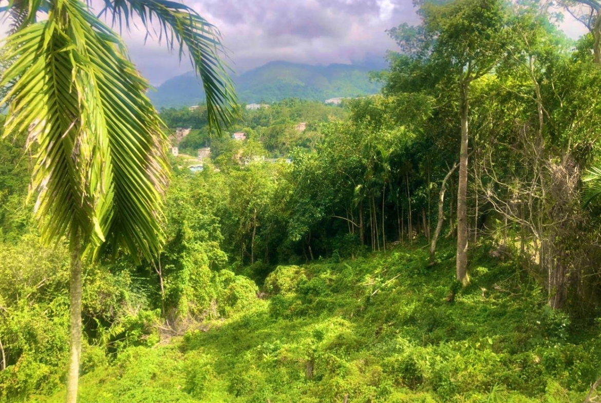 First image of Wireless Station Rd, Ston in Kingston 9, St. Andrew, Jamaica - property is For Sale