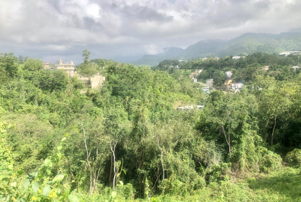 Third image of Wireless Station Rd, Ston in Kingston 9, St. Andrew, Jamaica - property is For Sale