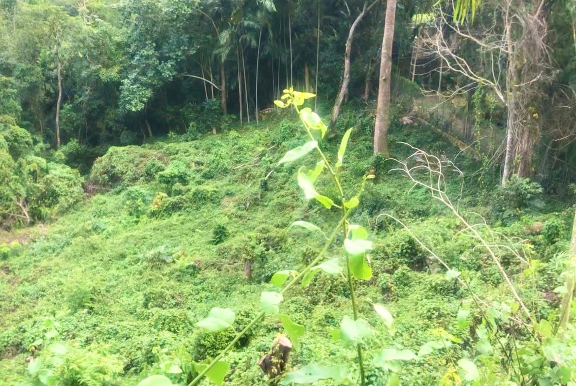 Fourth image of Wireless Station Rd, Ston in Kingston 9, St. Andrew, Jamaica - property is For Sale