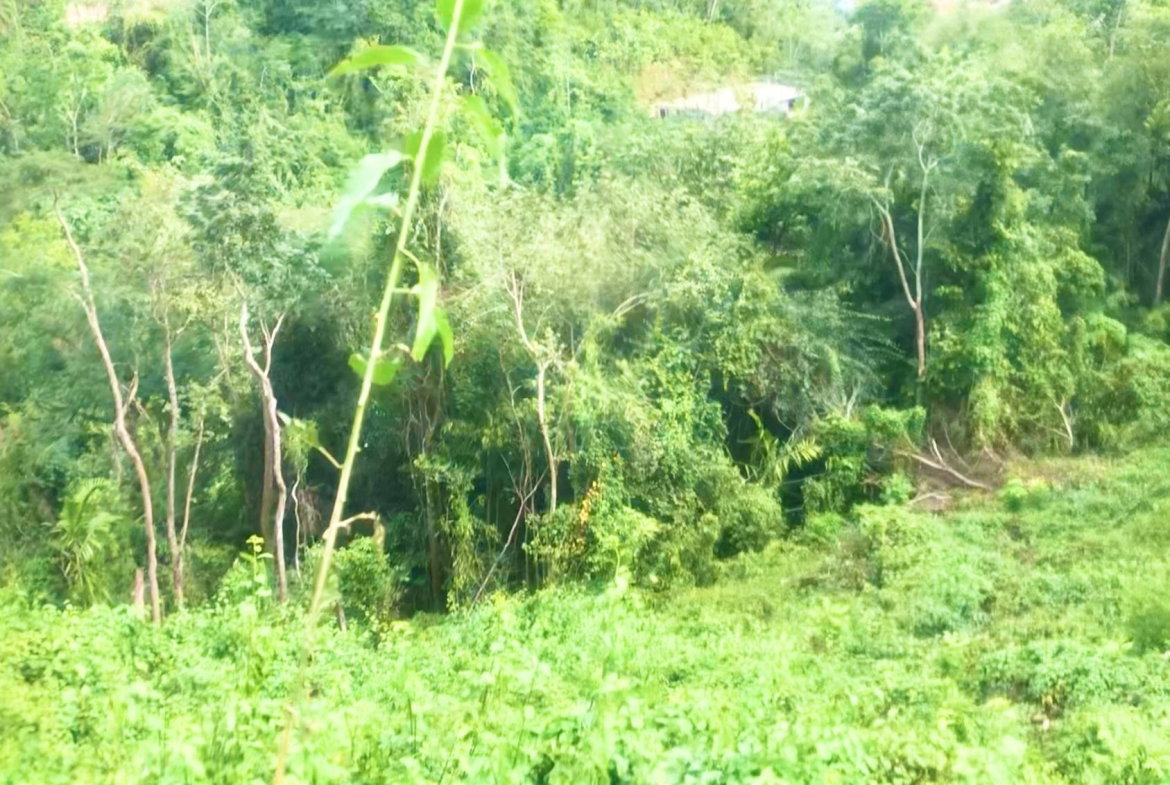 Fifth image of Wireless Station Rd, Ston in Kingston 9, St. Andrew, Jamaica - property is For Sale