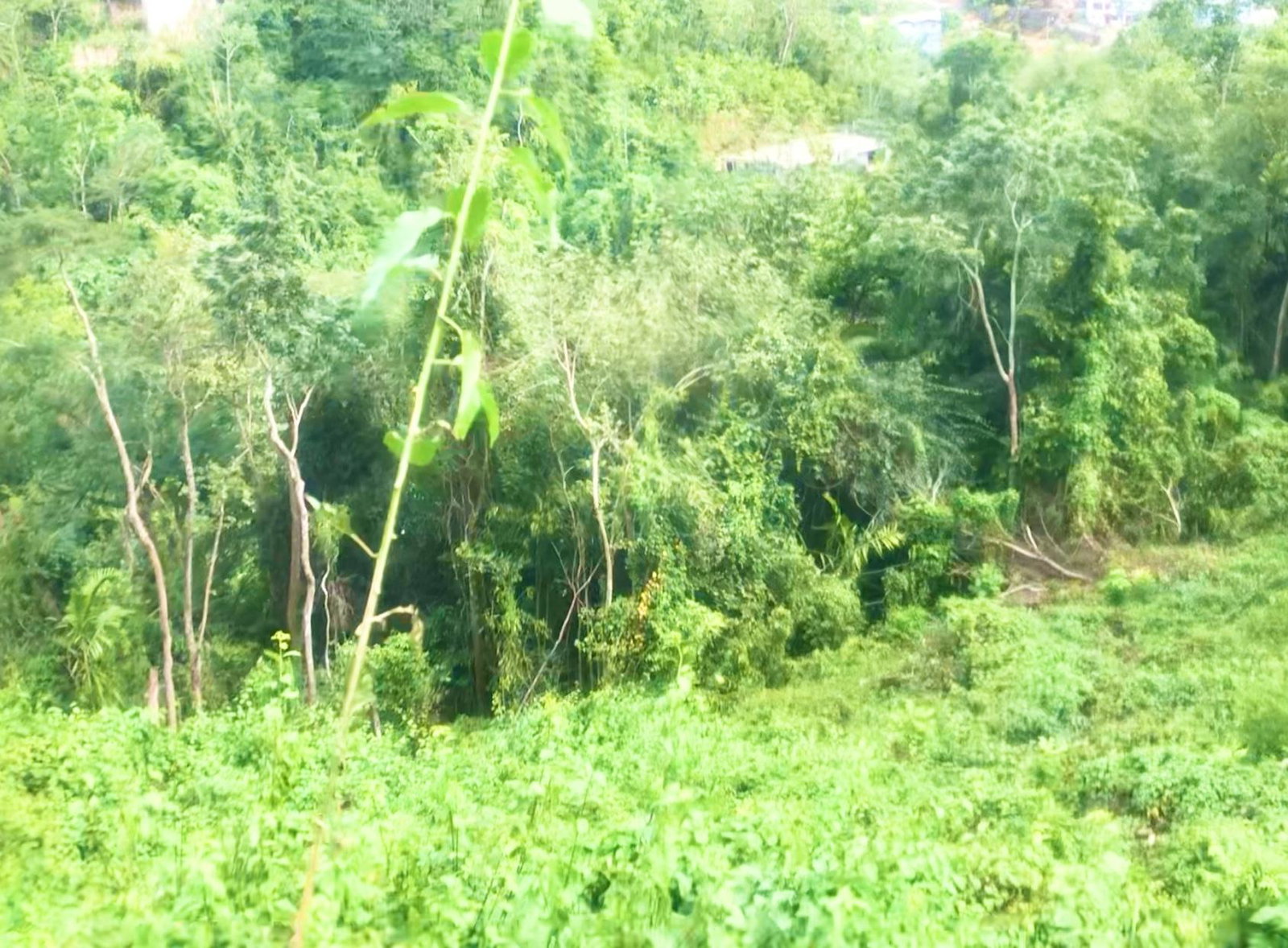 Fifth image of Wireless Station Rd, Ston in Kingston 9, St. Andrew, Jamaica - property is For Sale