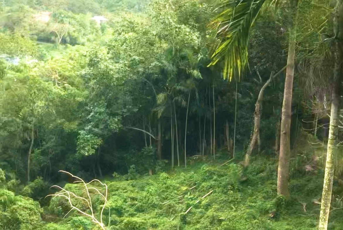 Sixth image of Wireless Station Rd, Ston in Kingston 9, St. Andrew, Jamaica - property is For Sale