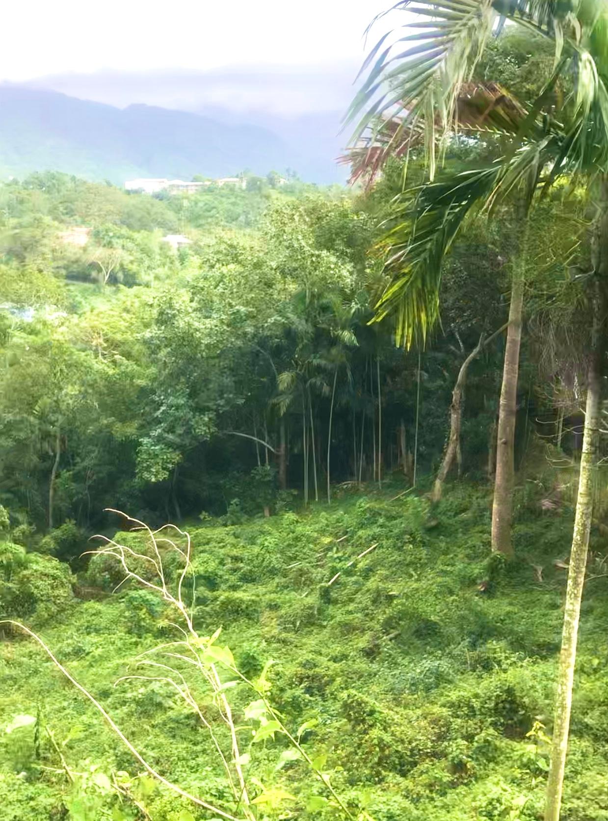 Sixth image of Wireless Station Rd, Ston in Kingston 9, St. Andrew, Jamaica - property is For Sale