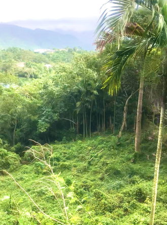 Sixth image of Wireless Station Rd, Ston in Kingston 9, St. Andrew, Jamaica - property is For Sale