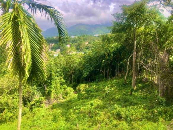 First image of Wireless Station Rd, Ston in Kingston 9, St. Andrew, Jamaica - property is For Sale