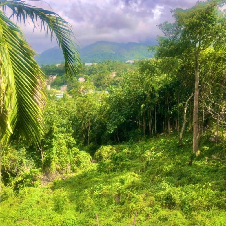 First image of Wireless Station Rd, Ston in Kingston 9, St. Andrew, Jamaica - property is For Sale