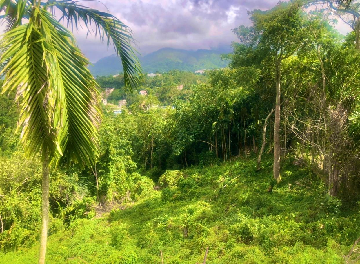First image of Wireless Station Rd, Ston in Kingston 9, St. Andrew, Jamaica - property is For Sale