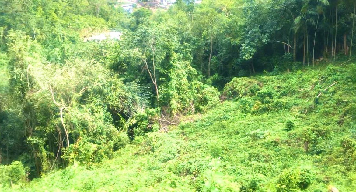 Second image of Wireless Station Rd, Ston in Kingston 9, St. Andrew, Jamaica - property is For Sale