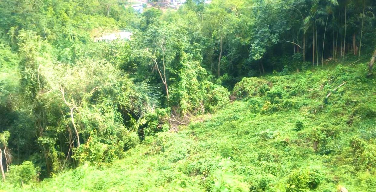 1.38-Acre-Development-Land-for-Sale-in-Stony-Hill-St.-Andrew-Jamaica Second image of Wireless Station Rd, Ston in Kingston 9, St. Andrew, Jamaica - property is For Sale