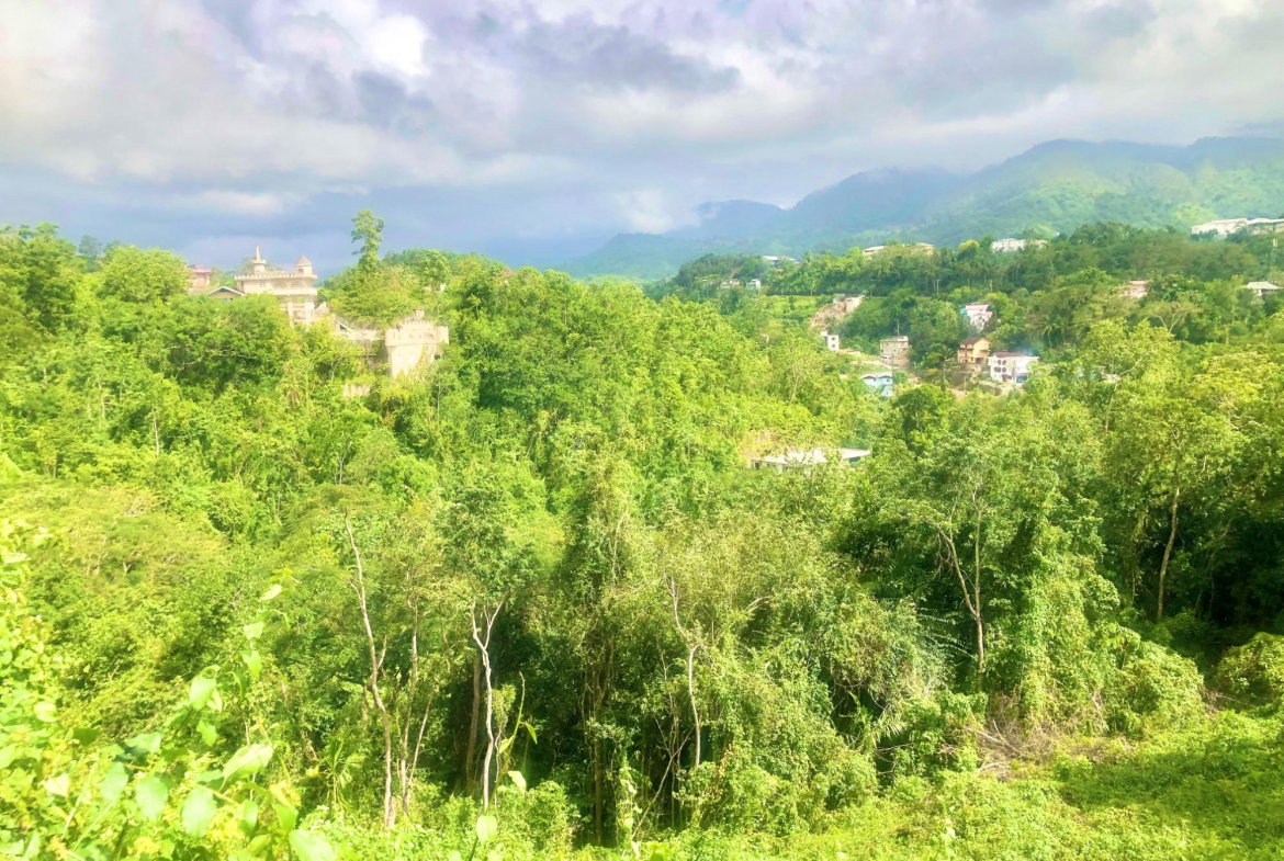 Fourth image of Wireless Station Rd, Ston in Kingston 9, St. Andrew, Jamaica - property is For Sale