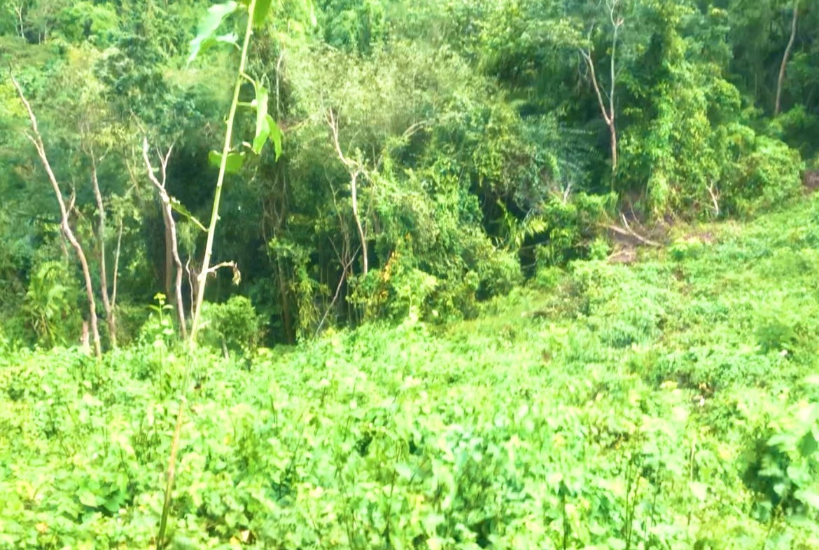 Fifth image of Wireless Station Rd, Ston in Kingston 9, St. Andrew, Jamaica - property is For Sale