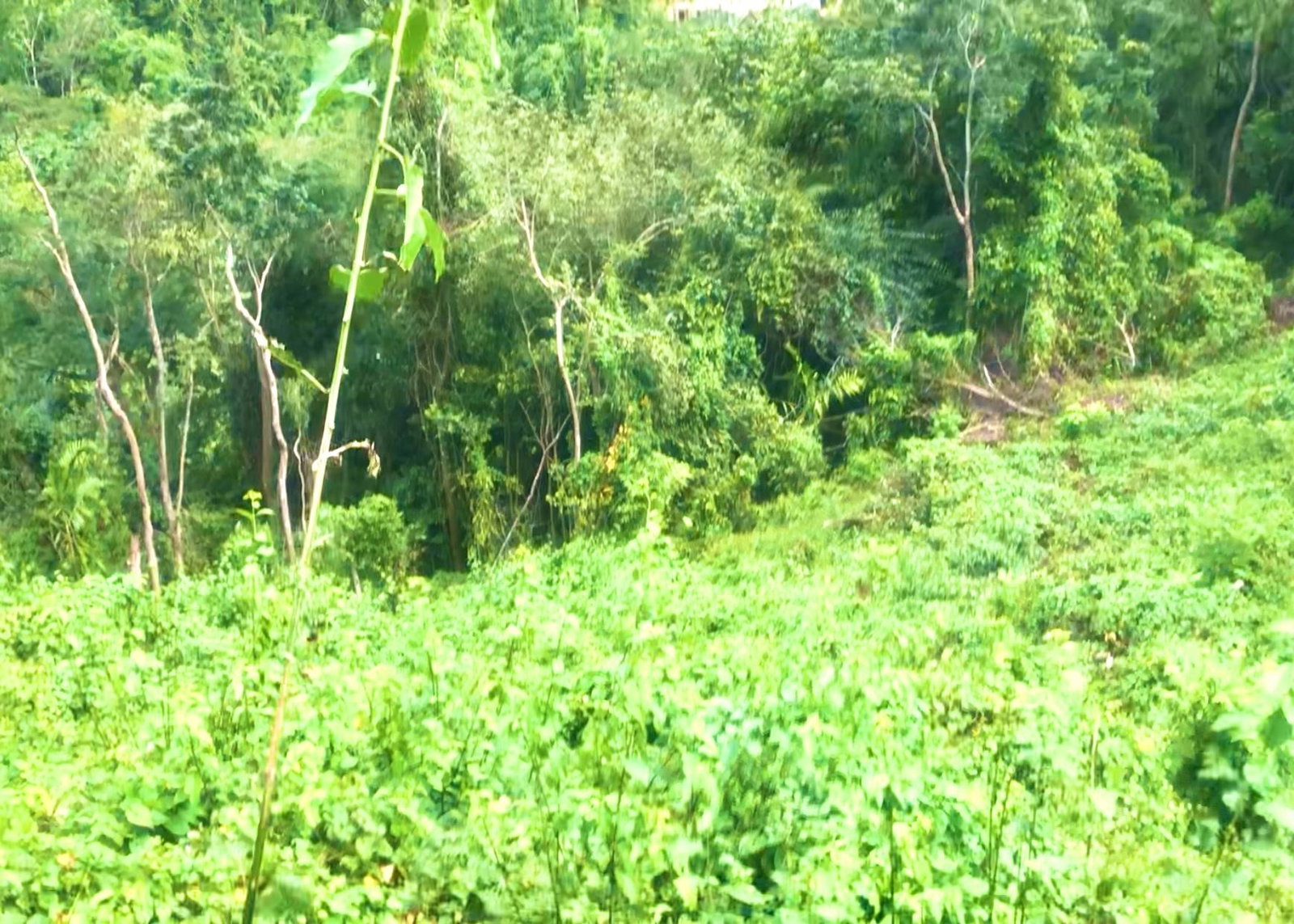 1.38-Acre-Development-Land-for-Sale-in-Stony-Hill-St.-Andrew-Jamaica Sixth image of Wireless Station Rd, Ston in Kingston 9, St. Andrew, Jamaica - property is For Sale