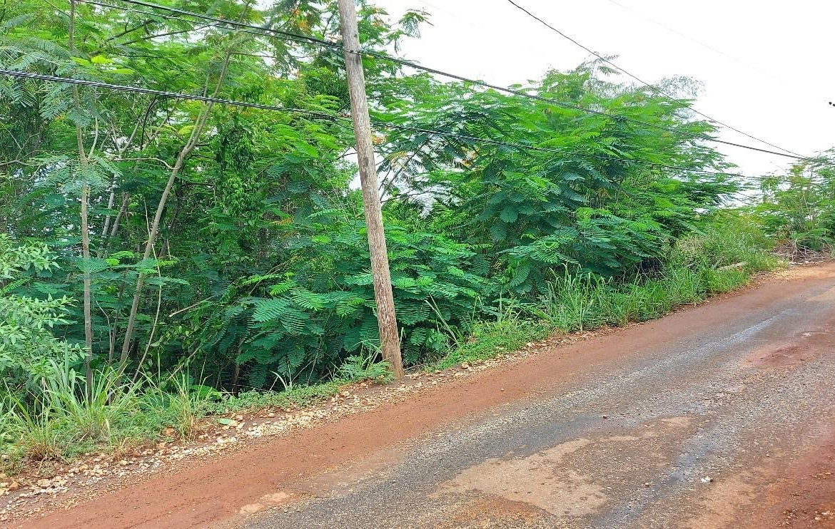 Fourth image of Lot 15 Bellevue Drive in Stony Hill P.O., St. Andrew, Jamaica - property is For Sale