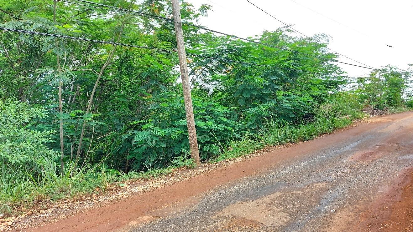 1.387-Acre-Residential-Lot-for-Sale-on-Bellevue-Drive-St.-Andrew-Jamaica Fourth image of Lot 15 Bellevue Drive in Stony Hill P.O., St. Andrew, Jamaica - property is For Sale