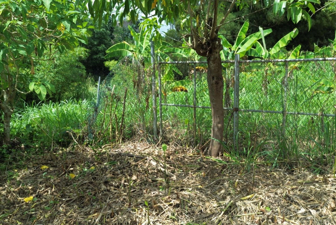 Second image of Lot 6 Salt Hill in Content Gap P.A., St. Andrew, Jamaica - property is For Sale