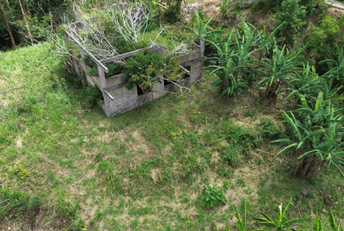 Eleventh image of Lot 6 Salt Hill in Content Gap P.A., St. Andrew, Jamaica - property is For Sale
