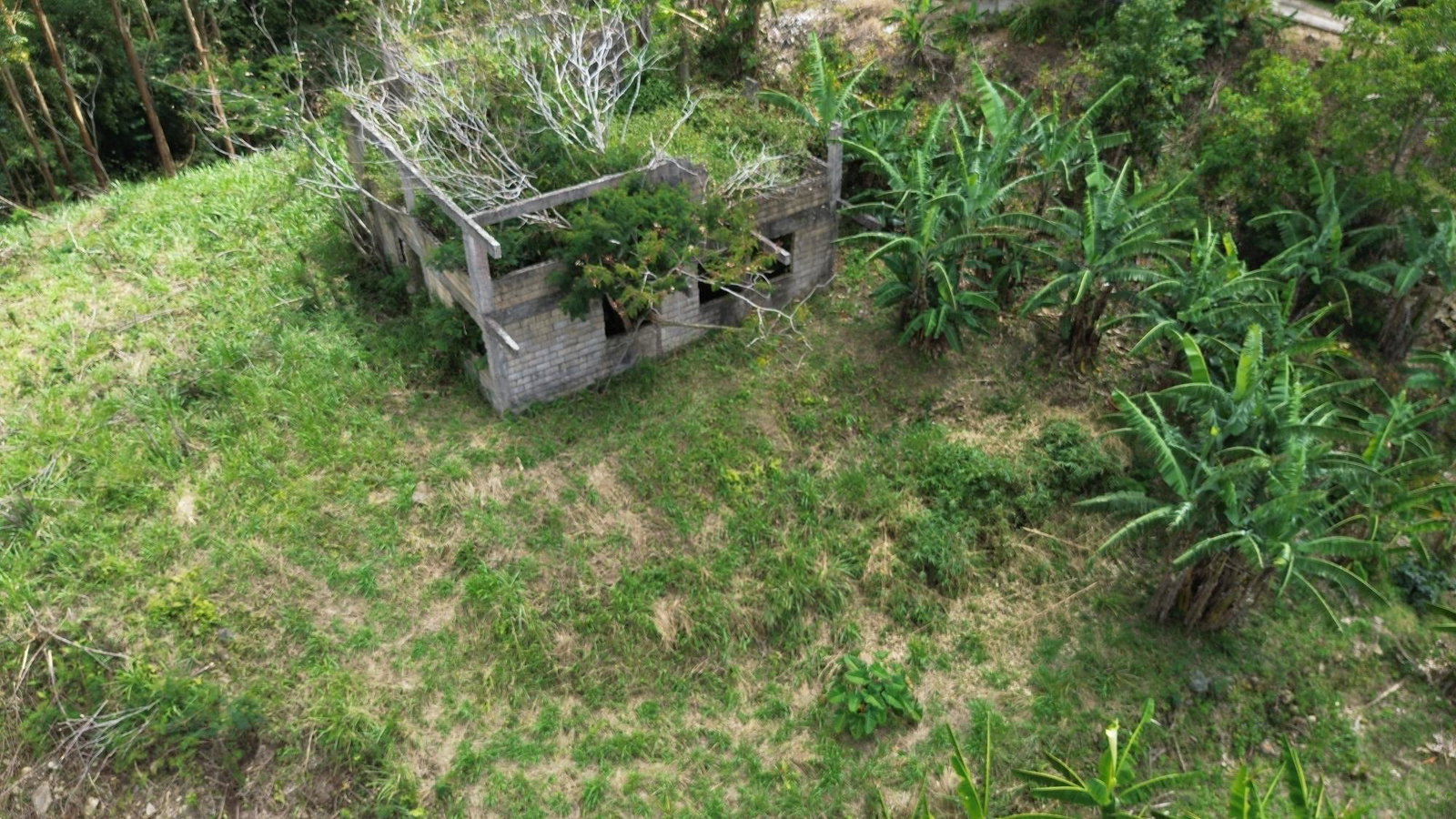 Eleventh image of Lot 6 Salt Hill in Content Gap P.A., St. Andrew, Jamaica - property is For Sale