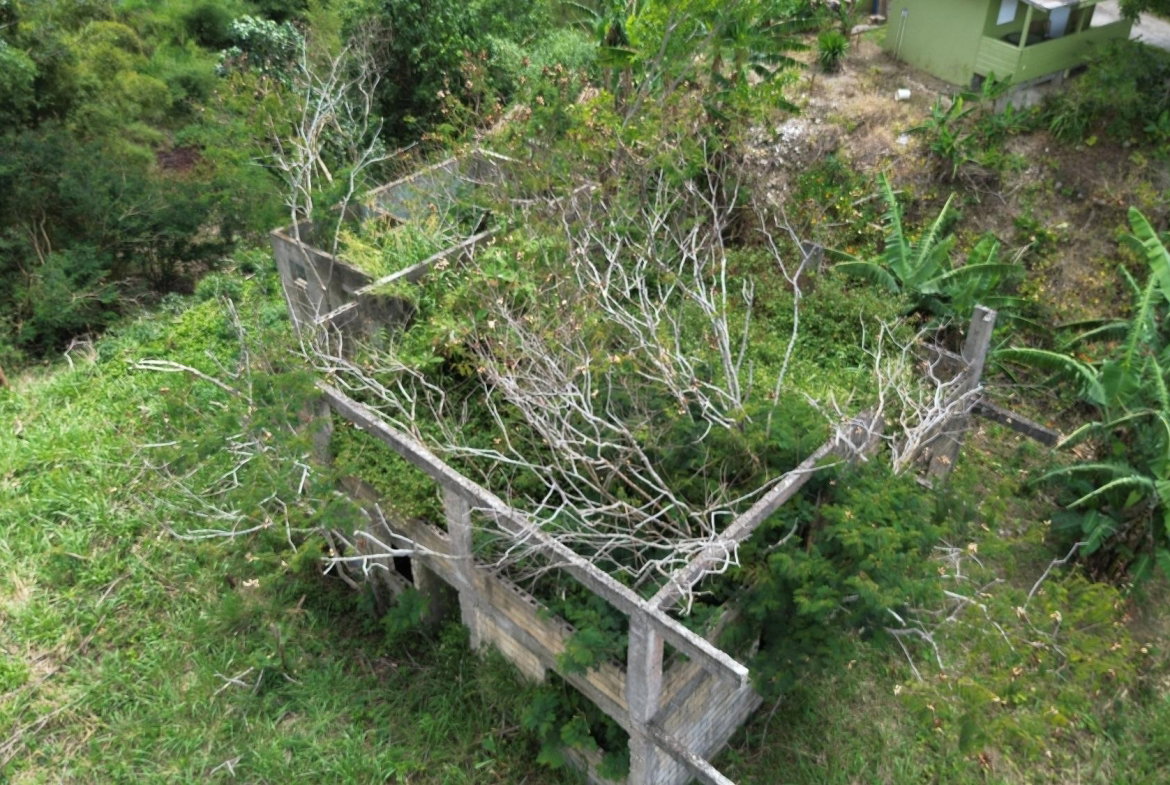 Twelfth image of Lot 6 Salt Hill in Content Gap P.A., St. Andrew, Jamaica - property is For Sale