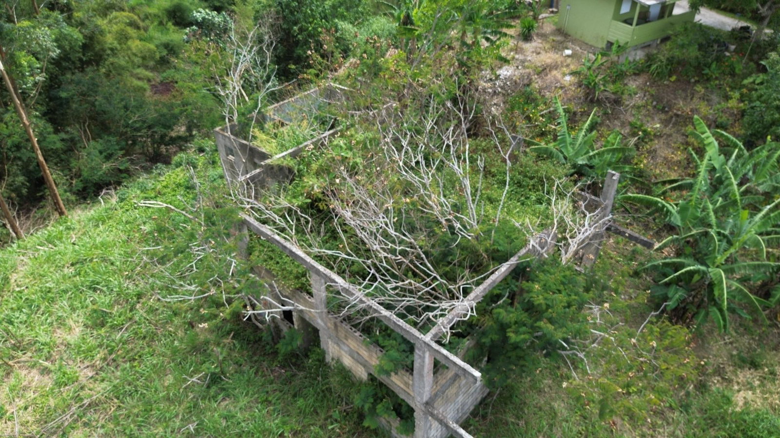 Twelfth image of Lot 6 Salt Hill in Content Gap P.A., St. Andrew, Jamaica - property is For Sale