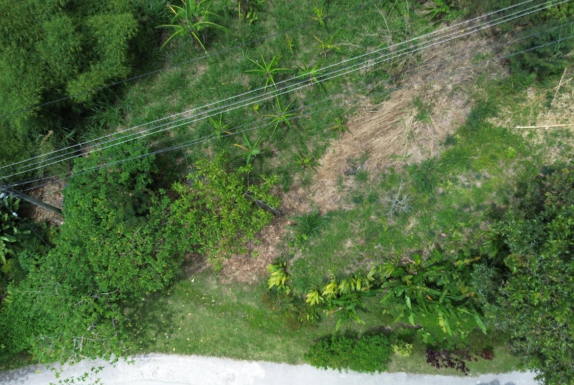 First image of Lot 6 Salt Hill in Content Gap P.A., St. Andrew, Jamaica - property is For Sale