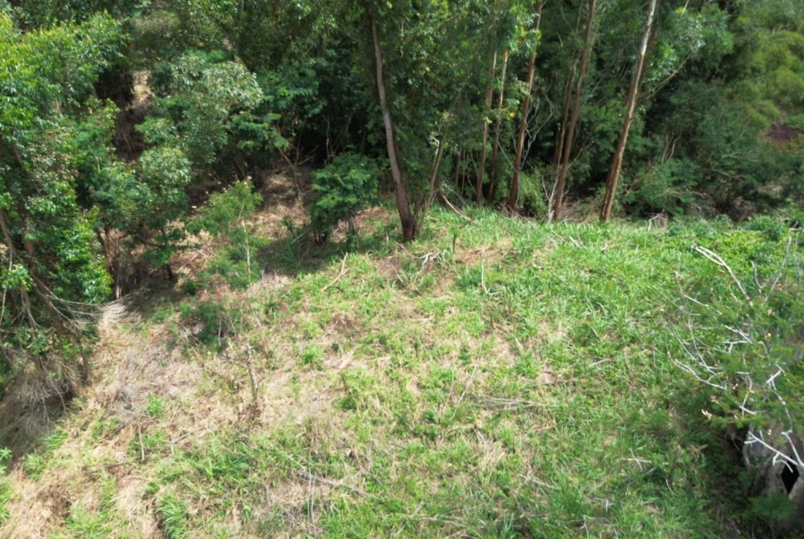 Thirteenth image of Lot 6 Salt Hill in Content Gap P.A., St. Andrew, Jamaica - property is For Sale