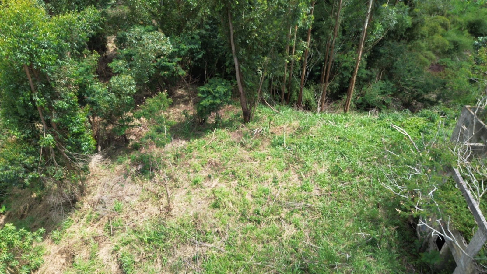 Thirteenth image of Lot 6 Salt Hill in Content Gap P.A., St. Andrew, Jamaica - property is For Sale