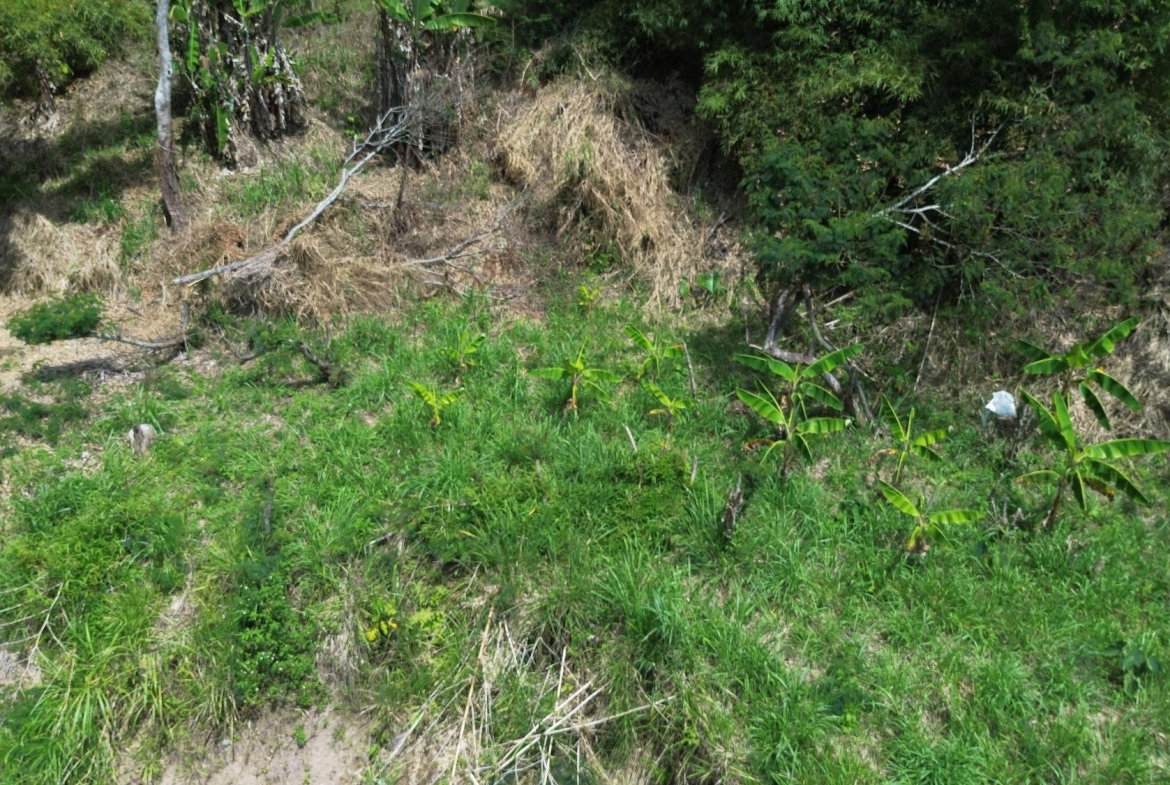 Fourteenth image of Lot 6 Salt Hill in Content Gap P.A., St. Andrew, Jamaica - property is For Sale