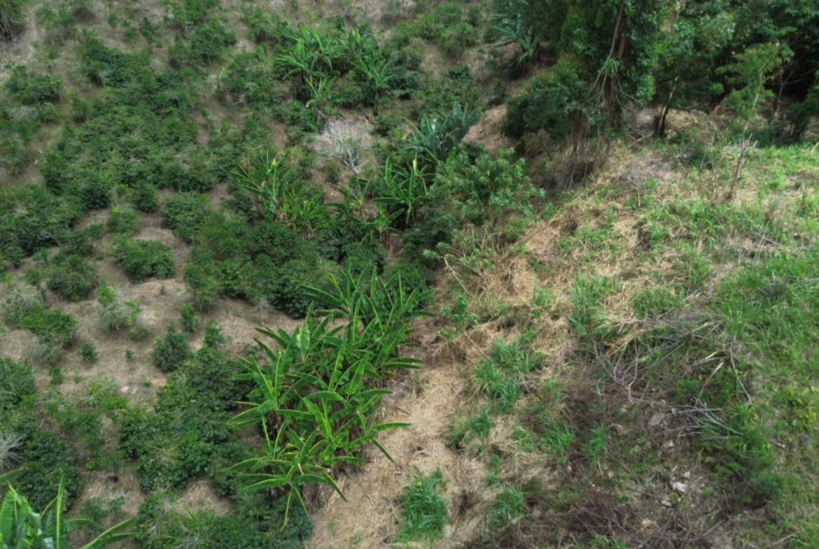 Fifteenth image of Lot 6 Salt Hill in Content Gap P.A., St. Andrew, Jamaica - property is For Sale