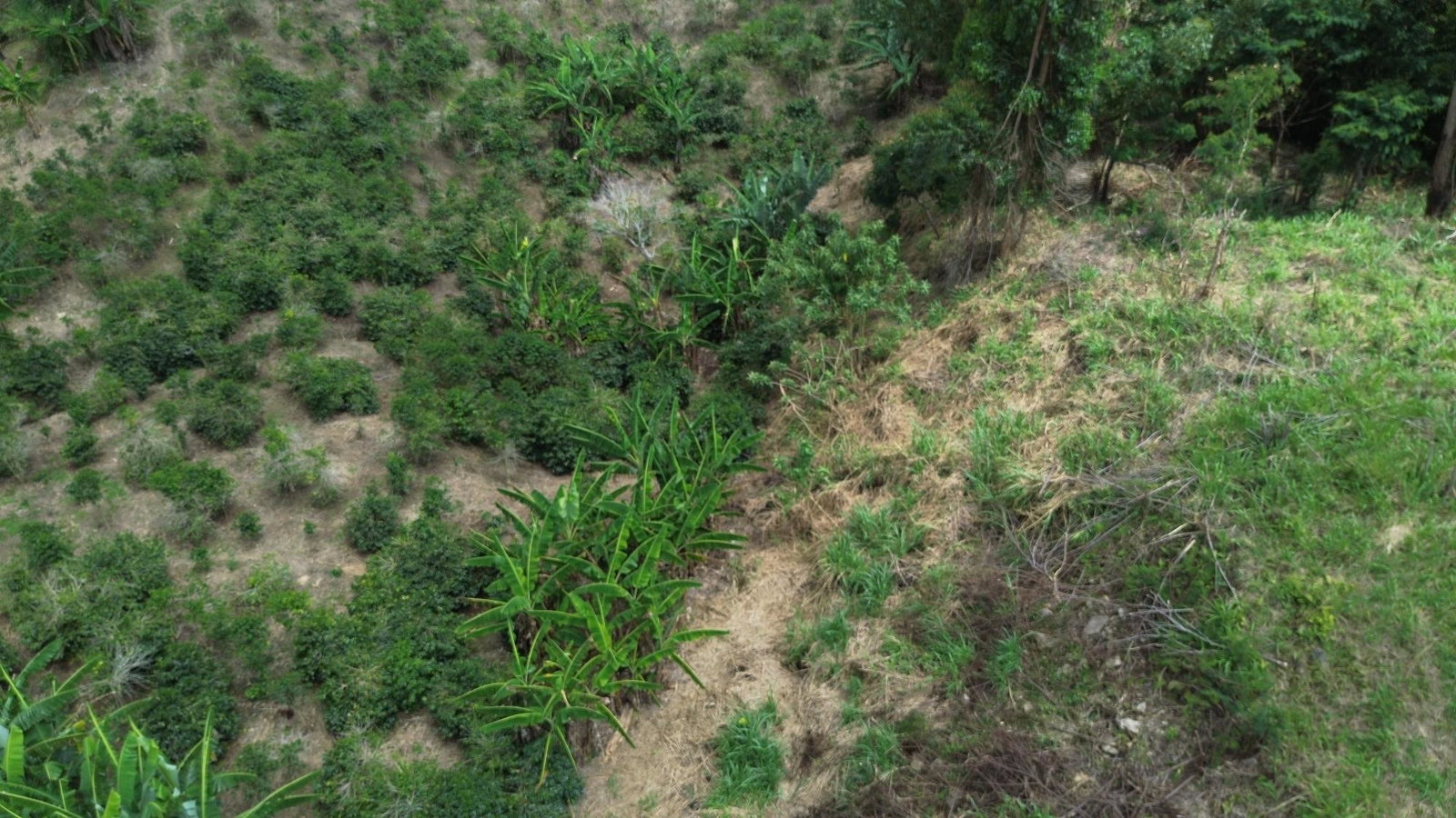 Fifteenth image of Lot 6 Salt Hill in Content Gap P.A., St. Andrew, Jamaica - property is For Sale