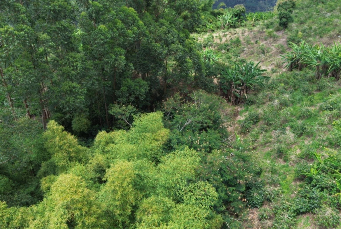Sixteenth image of Lot 6 Salt Hill in Content Gap P.A., St. Andrew, Jamaica - property is For Sale